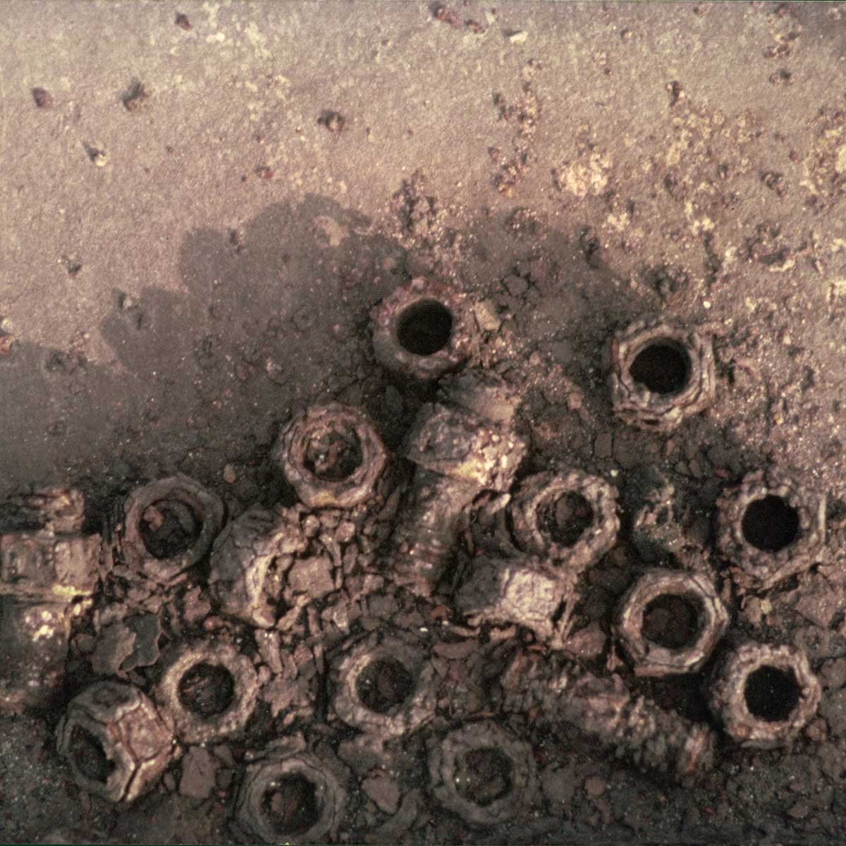 FEB/APRIL  |  BEGEGNUNGEN