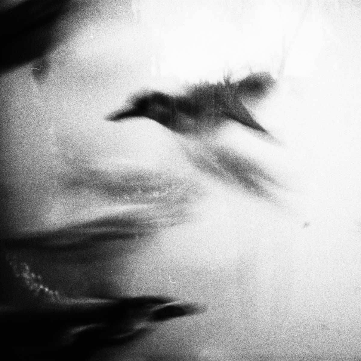 SEPT  |  Marvin Böhm